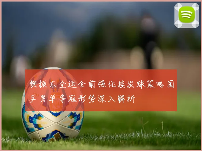 樊振东全运会前强化接发球策略国乒男单争冠形势深入解析