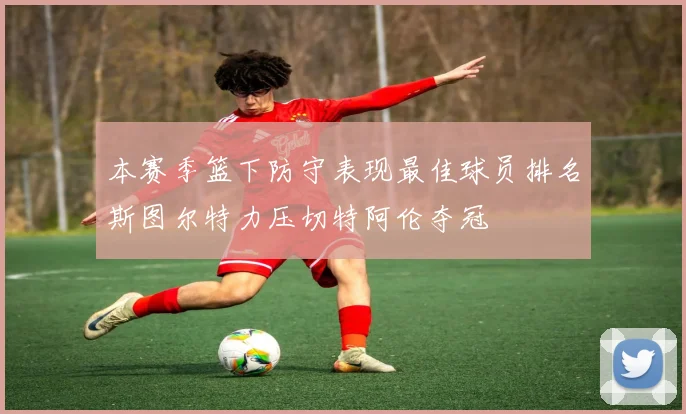 本赛季篮下防守表现最佳球员排名斯图尔特力压切特阿伦夺冠